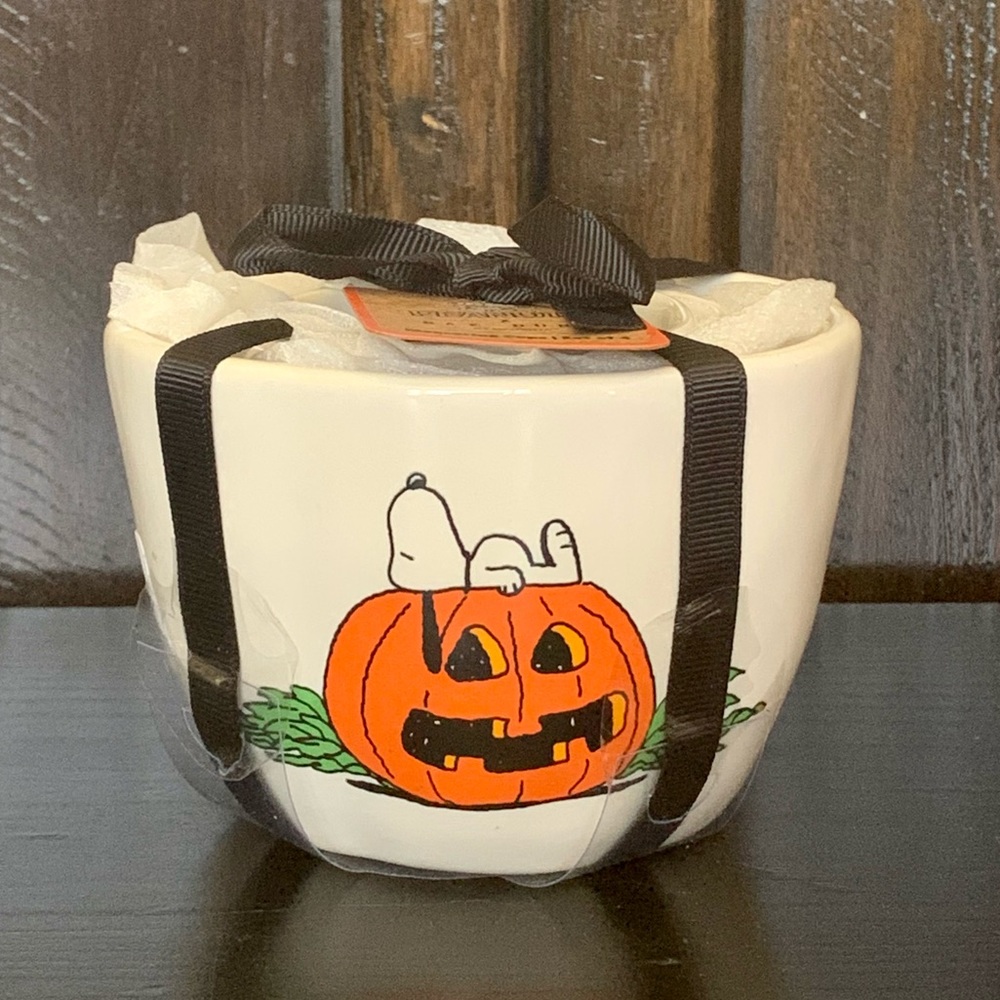 Snoopy Jack O’Lantern Pumpkin Halloween Measuring Cups Set - Rae Dunn Peanuts